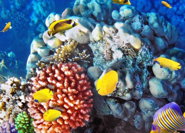 acquari in italia, acquari italiani