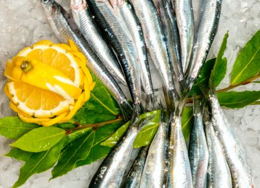 pesce azzurro caratteristiche pulizia proprietà