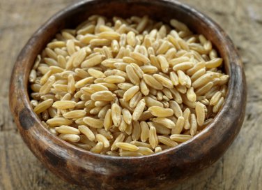 kamut-ricette-biologico