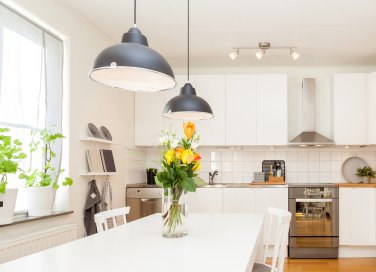 Come eliminare gli scarafaggi Vape Esche