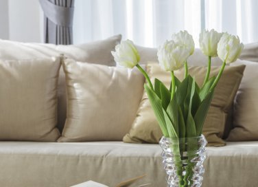 togliere macchie dal divano