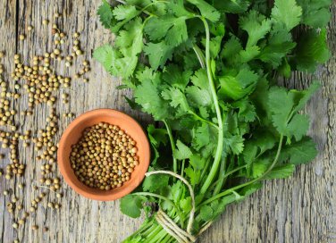 coriandolo proprietà e benefici