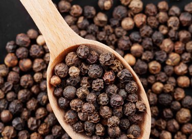 come coltivare il pepe nero