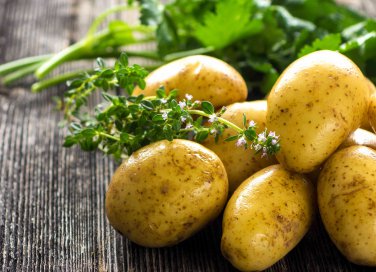 come coltivare le patate in vaso