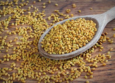 fieno greco proprietà e controindicazioni