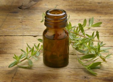 santoreggia proprietà e usi