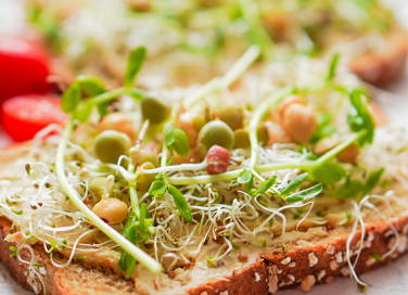 Usare il germogliatore: piccola guida alla coltivazione dei germogli in casa