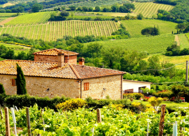 Weekend in Toscana, cosa vedere e cosa mangiare