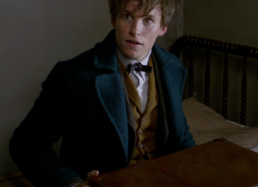 Harry Potter: 5 cose che non sapevi sulla saga e i suoi prequel