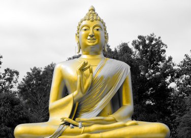 francesco gabbani, video, sanremo 2017