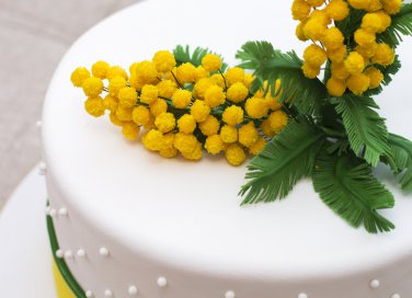 festa della donna, cake design, decorazioni cake design, pasta di zucchero, 8 marzo