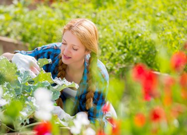 cosa coltivare ad aprile, coltivare aprile, orto di primavera