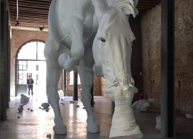 Il problema del cavallo Claudia Fontes