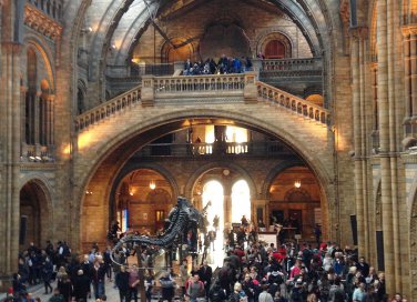 natural history museum ©OliviaChierighini