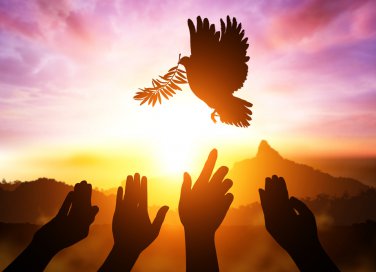 giornata mondiale pace, giornata internazionale pace, frasi pace