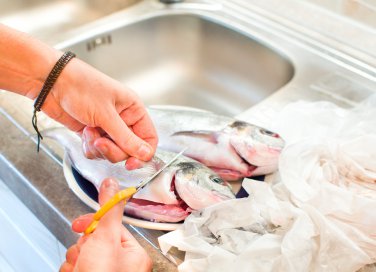 come pulire pesce appena pescato, pulire pesce