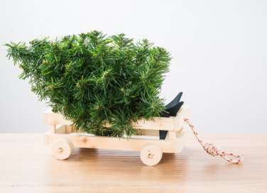 dove buttare albero di Natale