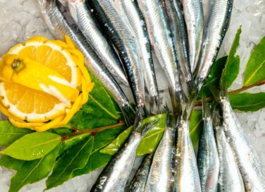 come pulire sarde, come pulire pesce