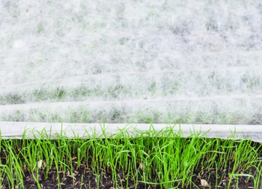 curare giardino inverno, giardinaggio inverno