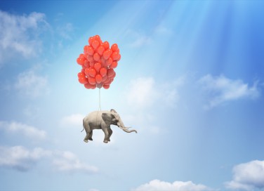 sogni, elefante, significato