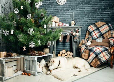 copri base albero di Natale fai da te, base albero di Natale fai da te, rialzo albero di natale