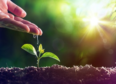 come evitare ristagni acqua vasi, evitare ristagni acqua vasi, drenaggio vasi