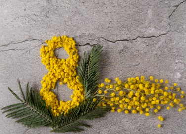 lavoretti festa della donna, decoupage con mimosa, decoupage fiori secchi