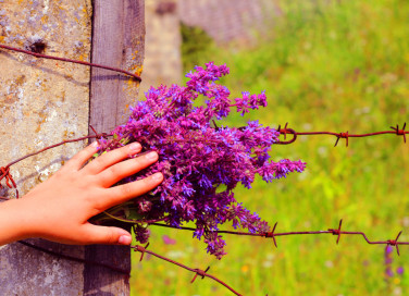 giornata memoria poesie, giornata memoria