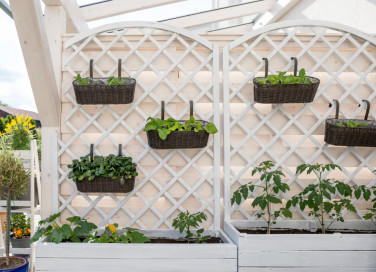 orto verticale balcone, orto balcone, orto verticale balcone come realizzare