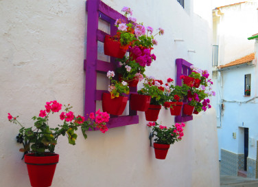 fioriera verticale pallet, fioriera verticale fai da te