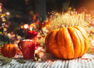 vetrine autunnali, vetrine autunnali idee, vetrine autunno