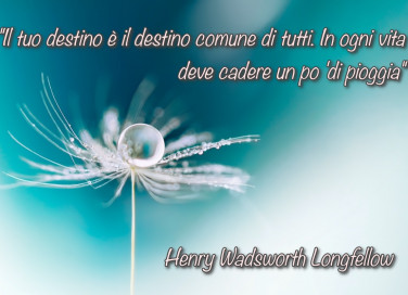 immagini, frasi, vita