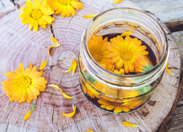 calendula, proprietà, salute