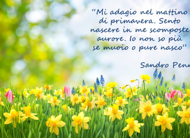 equinozio primavera immagini frasi, equinozio primavera immagini, equinozio primavera frasi