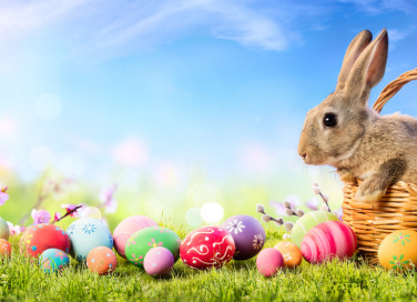 sfondi videochiamate pasqua, sfondi videocall