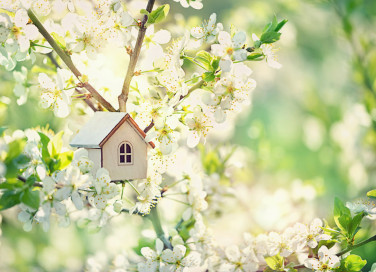 lavolavori manutenzione primavera, lavori primaverili