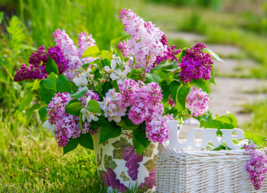 idee per abbellire giardino fai da te, arredo giardino fai da te, decoupage giardino