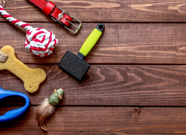 accessori, cani, animali