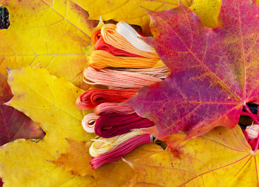 foglie autunnali punto croce, punto croce autunno