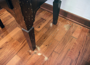 come capire se ci sono tarli nel legno, tarli legno 