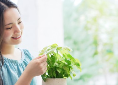 come capire se innaffiare, come capire se annaffiare, come sapere se le piante hanno bisogno di acqua