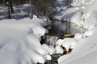 Natale in montagna con le ciaspole: quali offerte di viaggio