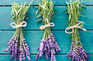 Guardaroba anti-tarme