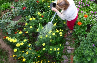 Guida al risparmio dell’acqua