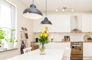 Come liberarti dagli scarafaggi