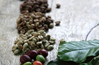 Rimedi casalinghi per le tue piante: concimi naturali