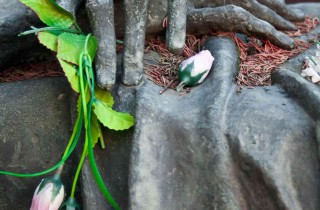 Sognare di morire: cosa significa?