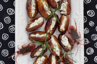 Sognare gli insetti: significato