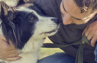 I pericoli da cui proteggere il tuo cane