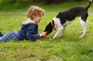 I bambini e la paura dei cani: come superarla